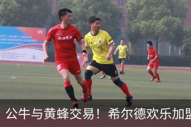 公牛与黄蜂交易！希尔德欢乐加盟，薪资差额笑中有泪